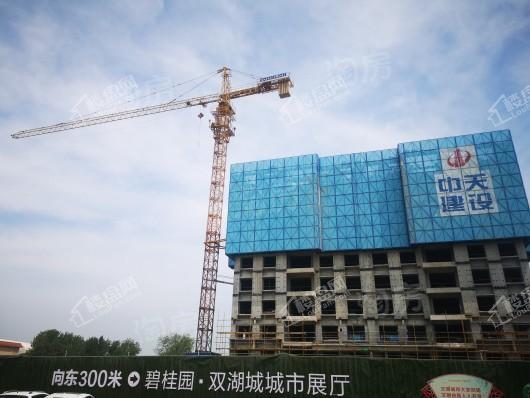 新郑碧桂园双湖城实景图