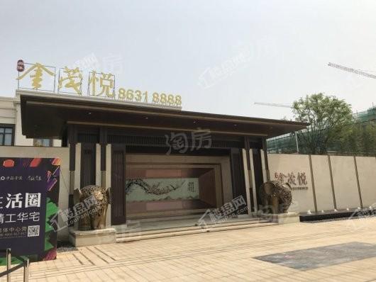 奥体金茂悦实景图