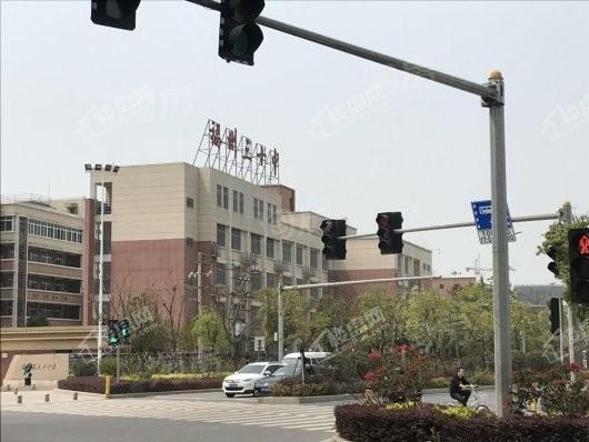 奥体金茂悦配套图