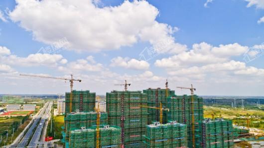 正荣·悦都荟实景图