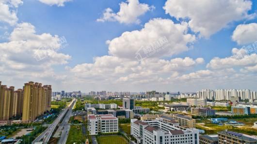 正荣·悦都荟实景图