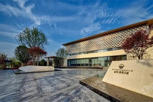 金科·博翠天辰实景图