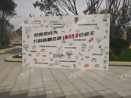 万科新都会实景图