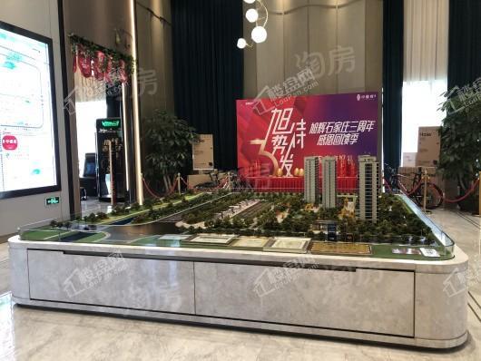 旭辉中睿府实景图