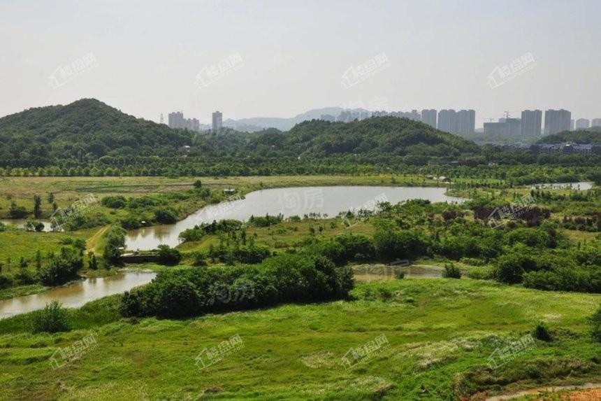 澳海望洲府配套图