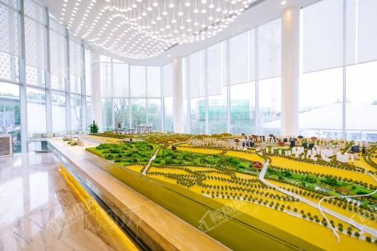 保亿御景玖园实景图