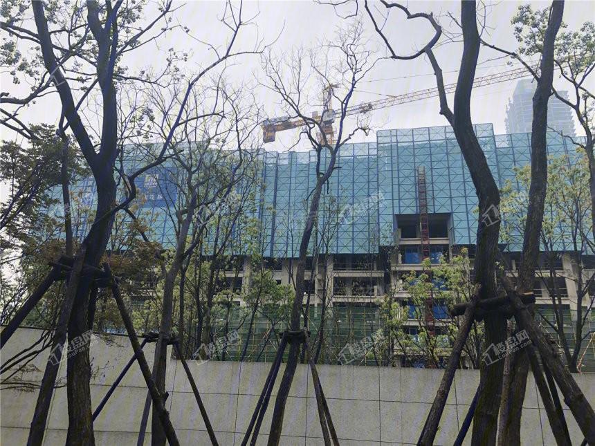 卓越中寰实景图