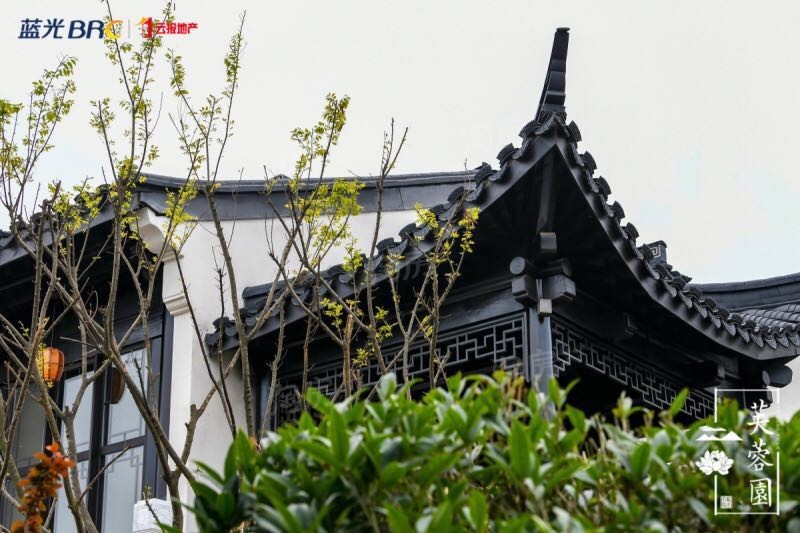 蓝光云报芙蓉园实景图