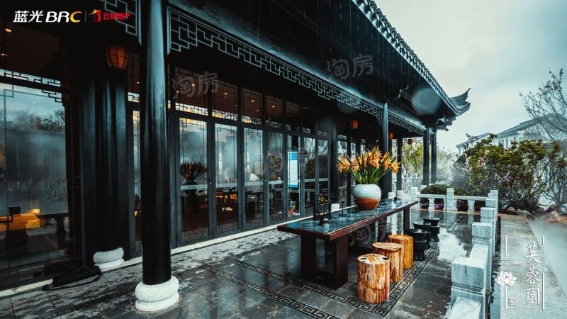 蓝光云报芙蓉园实景图