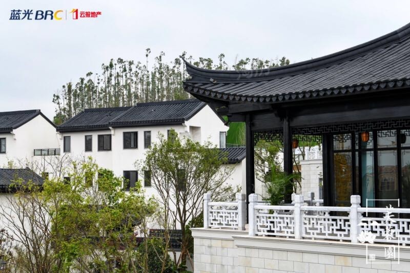 蓝光云报芙蓉园实景图