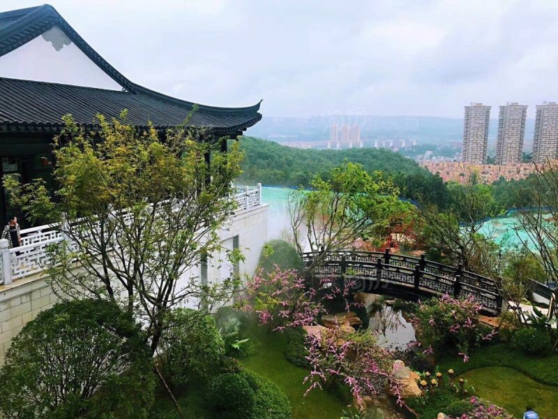 蓝光云报芙蓉园实景图