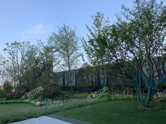 龙湖星图实景图