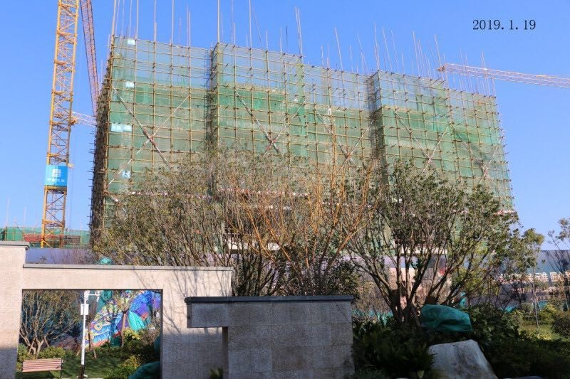 碧桂园东园实景图