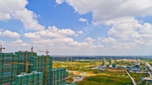 正荣·悦都荟实景图