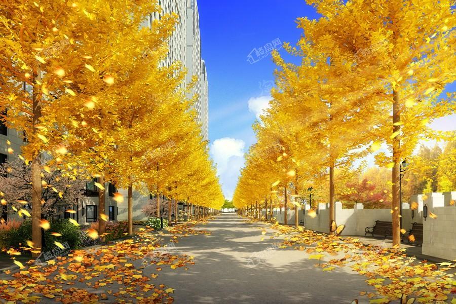 大都会公元效果图