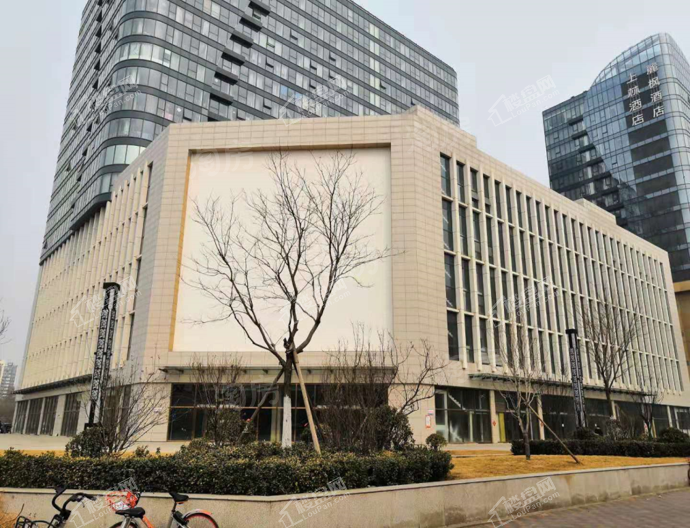 实景图
