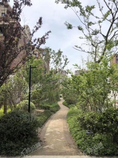 金地都会C区实景图