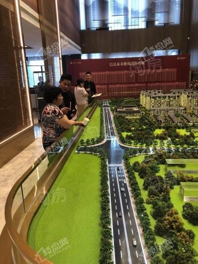 信达泰禾上城院子实景图