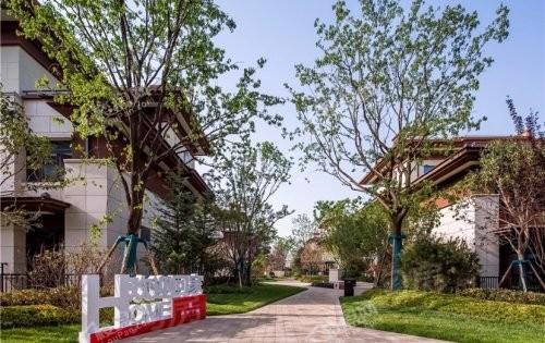 御河上院实景图