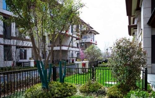 御河上院实景图