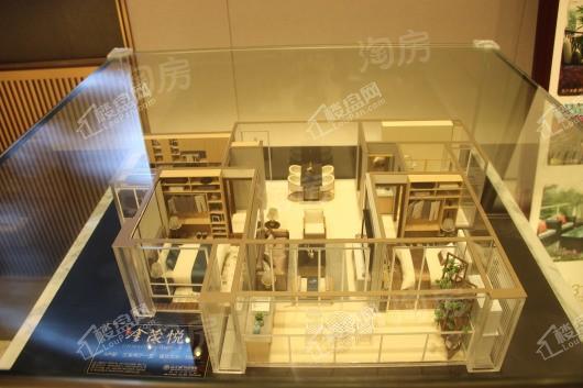 奥体金茂悦实景图