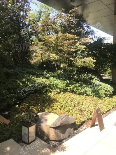 招商花漫里实景图