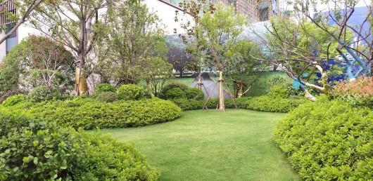 都荟上城实景图