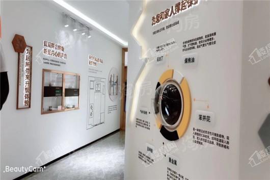 远洋万和四季实景图