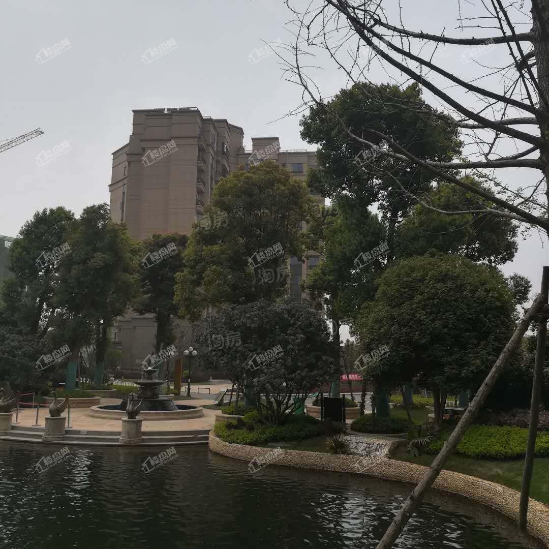 金川·纯水岸实景图