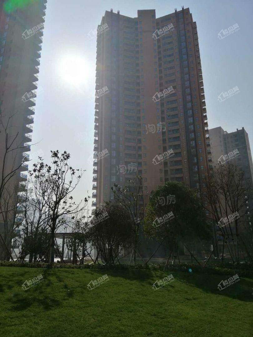 实景图
