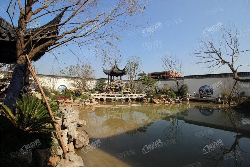 和泓桃李春风实景图