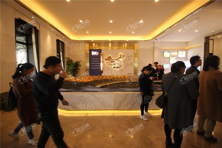和泓桃李春风实景图