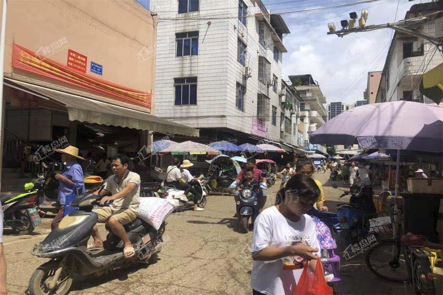 绿港云海湾实景图