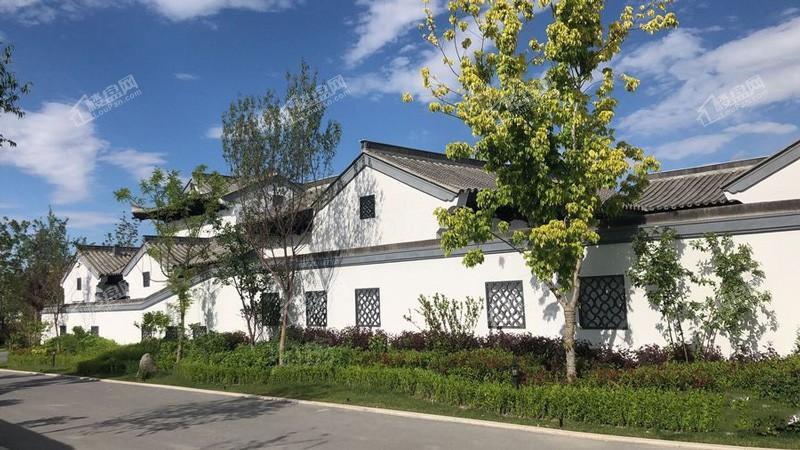 新疆总裁养心苑实景图