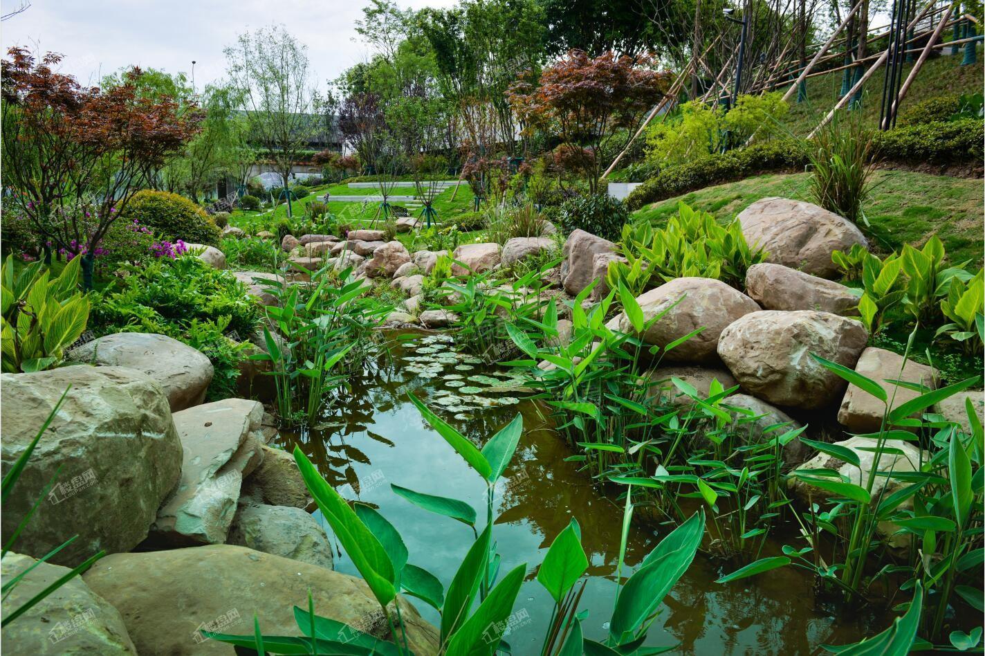 千江凌云实景图