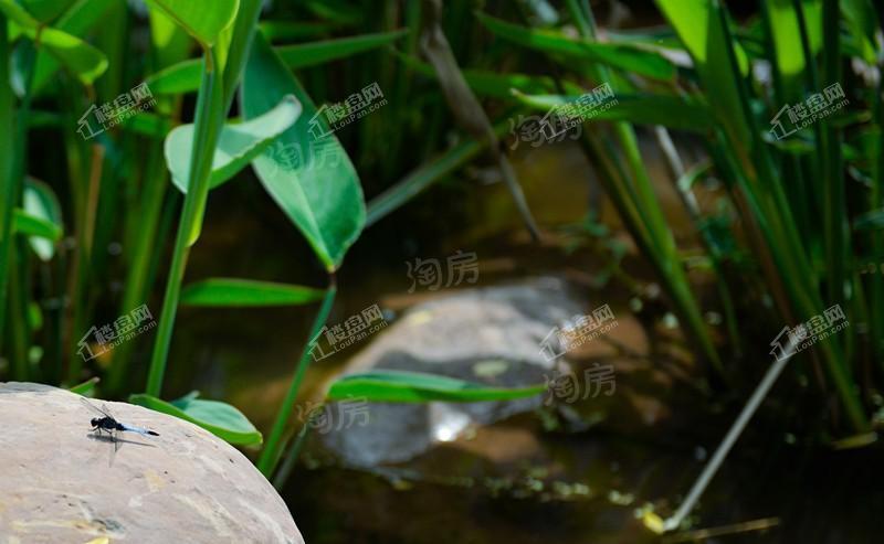 千江凌云实景图