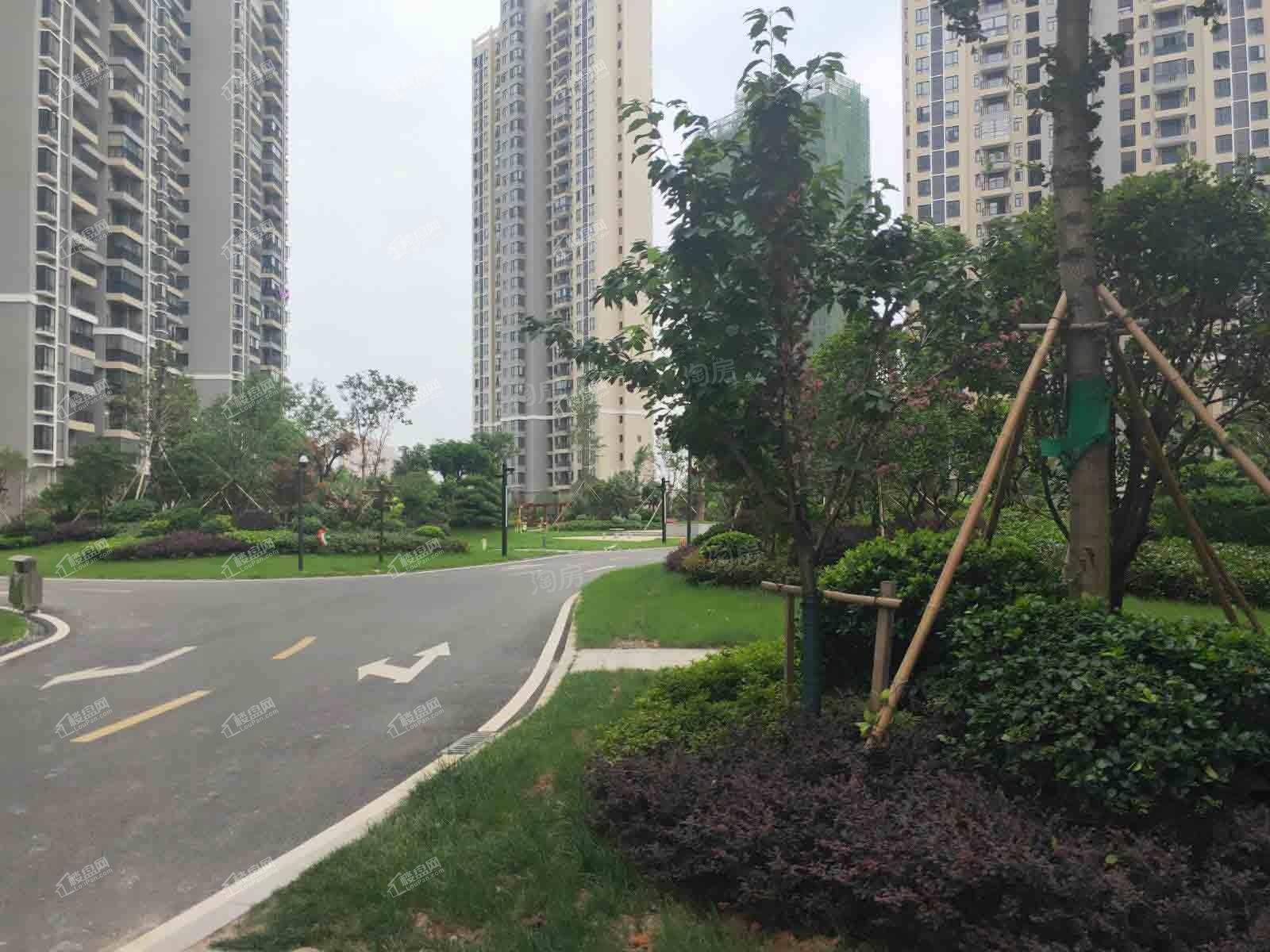 实景图
