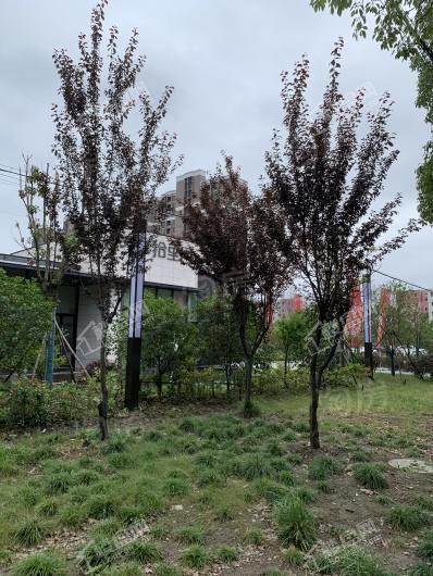 文通拾里间实景图