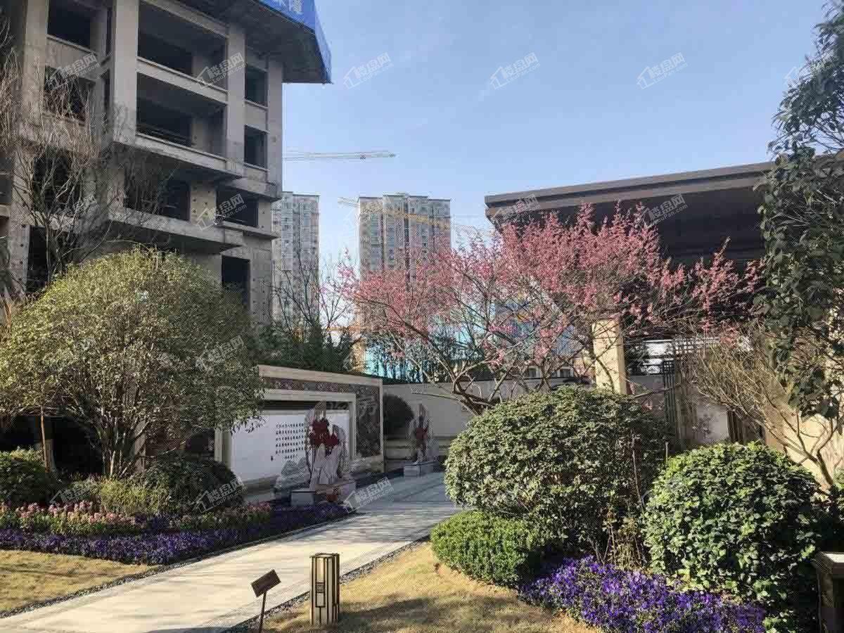 金科城实景图