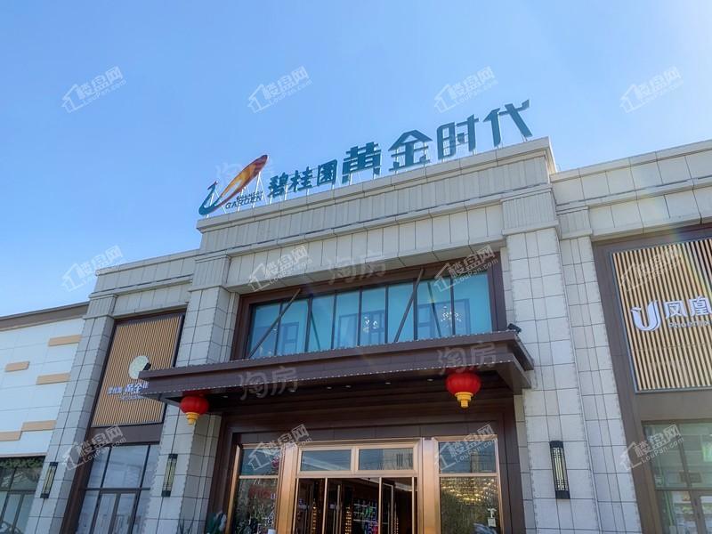 碧桂园黄金时代实景图