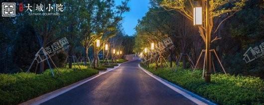 泰禾大城小院实景图
