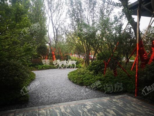 融侨中晟悦城实景图