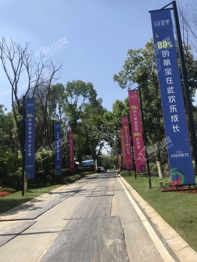 招商花漫里实景图