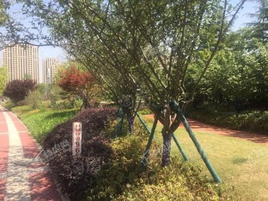 中南·上悦城实景图