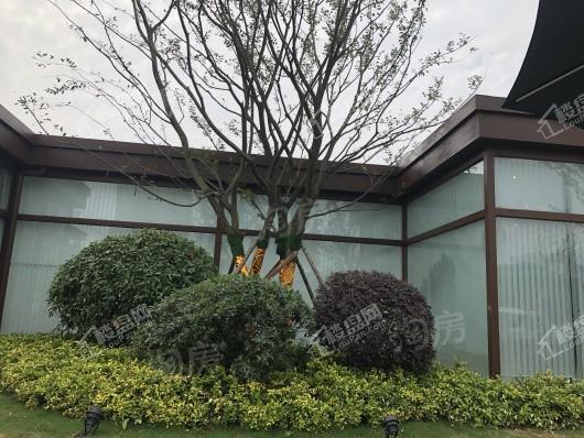 雅居乐雅尊府实景图