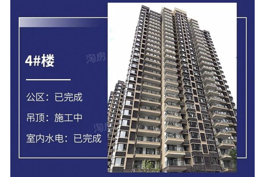 金科观天下实景图