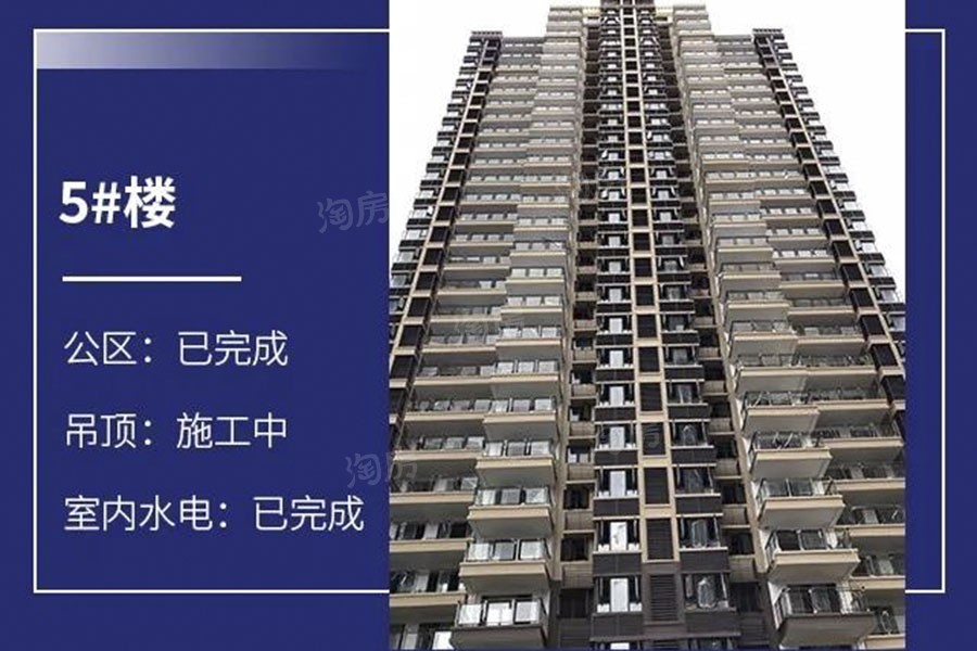 金科观天下实景图