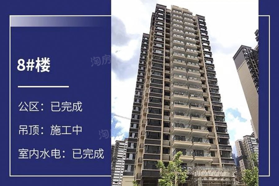 金科观天下实景图