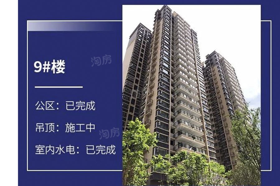 金科观天下实景图