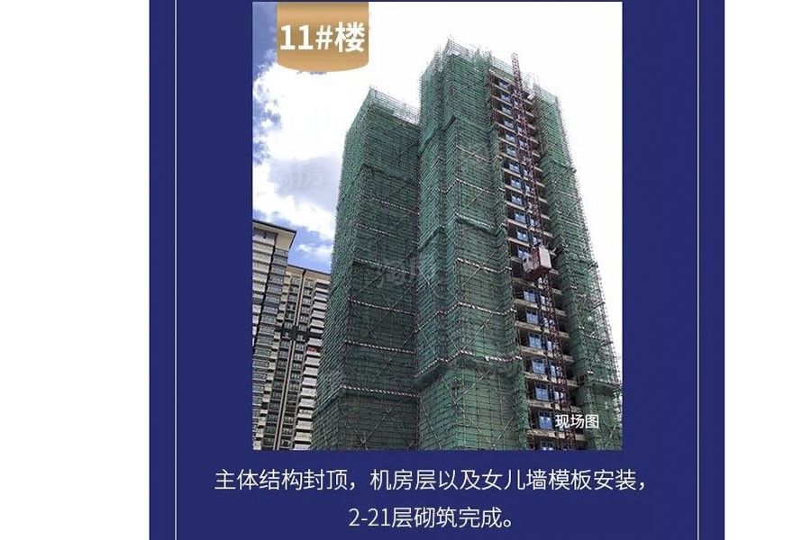 金科观天下实景图